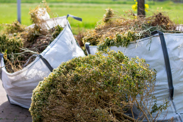 Best Trash Removal Near Me  in Nashville, NC