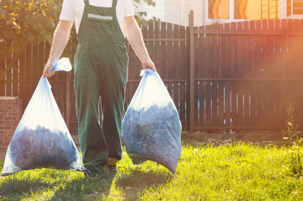 Debris Removal in Nashville, NC
